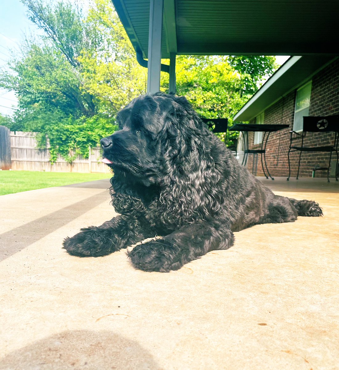 Katy Stephens tweet media