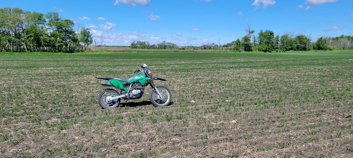 EAServicesLtd's tweet image. Having a blast on the dirt bike through the wet country south of Ryley! Nothing beats the thrill of trails, water, and tall grass. 🌾🏍️ #DirtBikeAdventures #OffRoadFun