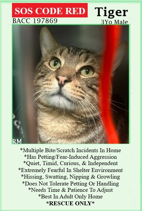 Renee' Martin tweet media