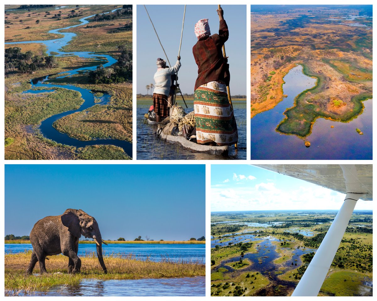 PassportLifeGO's tweet photo. The Okavango Delta, Botswana: Embark on a safari through the world's largest inland delta, a lush oasis teeming with wildlife. Spot a variety of animals, from majestic lions and graceful giraffes to playful elephants and a myriad of bird species. 🇧🇼 https://t.co/0TSXoYzMl8