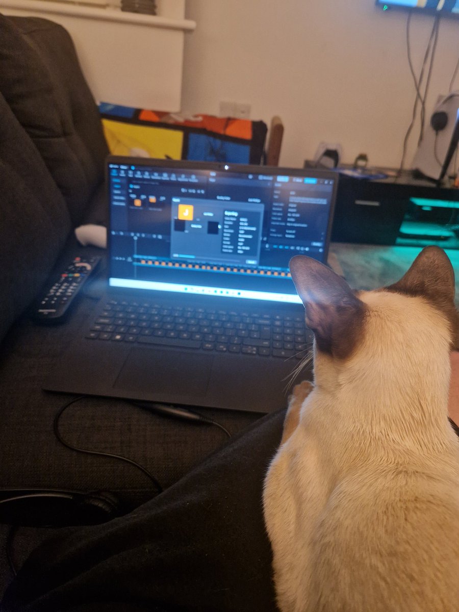 DocWhoPod's tweet image. Bit of late night editing with the newest member of the podcast, Theo! Stay tuned tomorrow morning for this week's episode of DocWhoPod #Doctorwho #podcast