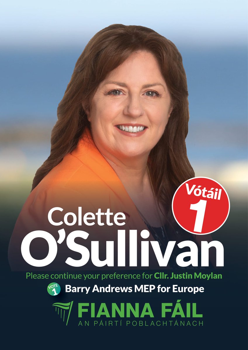 COSullivanFF's tweet photo. I just want to thank everyone who has been on this journey with me over the past year. Thanks also to the amazing and welcoming people we have met on the doors. What a journey it has been  #Vote1Coletteosullivan #Vote2JustinMoylan for Local and #Vote1BarryAndrews for Europe https://t.co/AhN2mExZQs