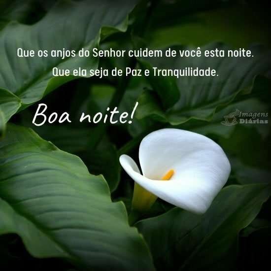 EBowkalowski's tweet photo. @litamajor1 Boa noite, bom descanso e bons sonhos querida amiga Lita. 
Receba o meu abraço. 
Deus abençoe você e sua família! 🙏💐🌺💐🥰✨️ https://t.co/9lYmcWhRyy