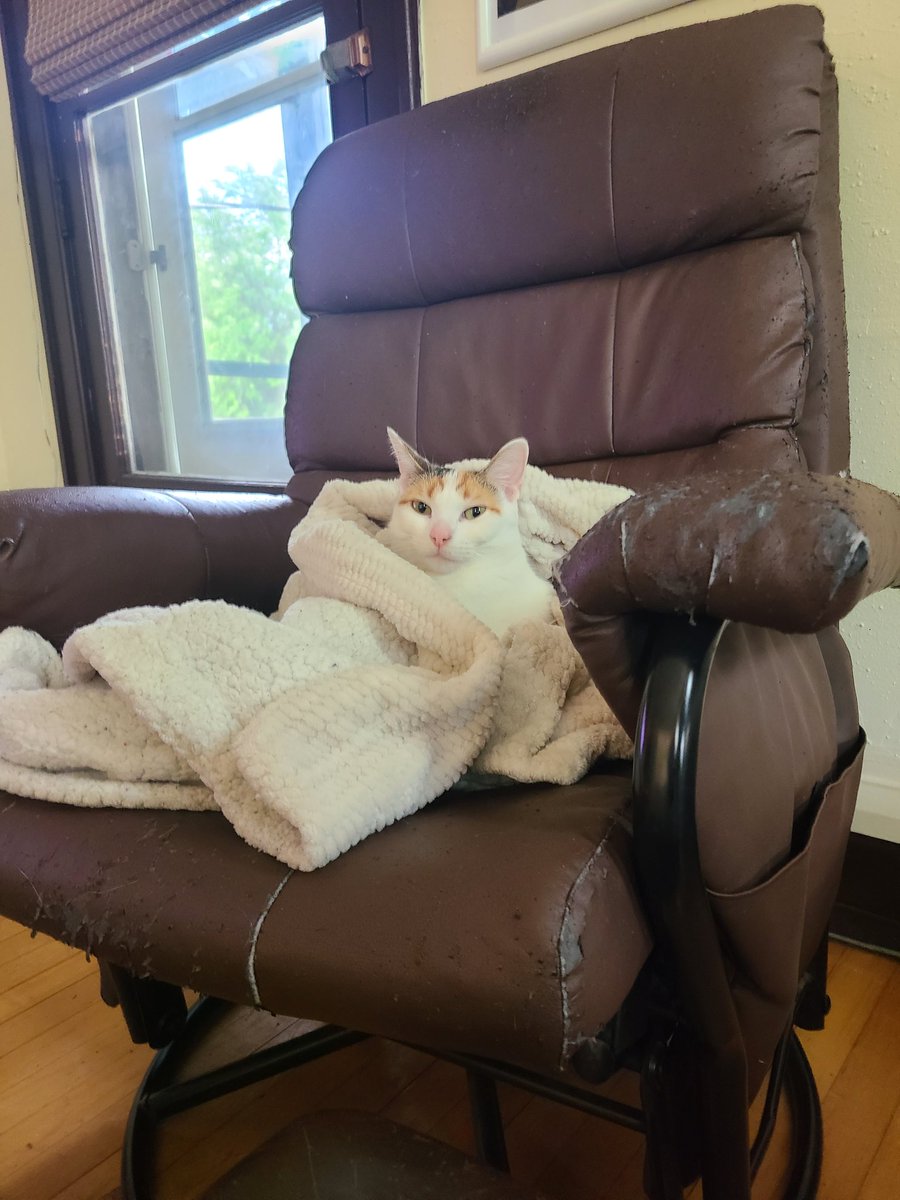 ZennDIP's tweet photo. Fat, and Useless https://t.co/TNlKbegMHw