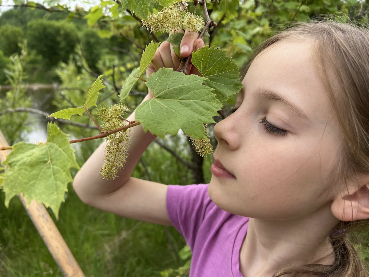Our Grade 4 and 4/5 students showcased their scientific 🧫 and aquatic skills at Guelph Lake yesterday. 🐸🐟🐠🦀#Exploring #NatureInspired