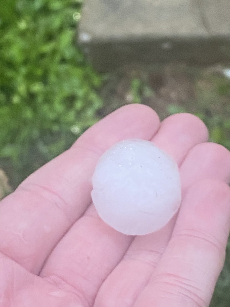 I never rant on here but I feel like I am being punk’d. <a href="/progressive/">Progressive</a> is the absolute WORST insurance company I have ever dealt with. Two days in a row the inspector did not show up or call. After multiple calls, I was told my appointment was canceled as my claim needed to be