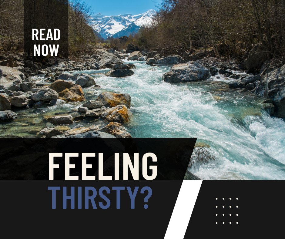 westsurvival's tweet photo. It's half past apocalypse and time to stop for a drink. Where do you go and how do you make sure it's safe?
https://t.co/a1vTM4zpTs
#survival #survivaltips #survivalskills #waterislife https://t.co/VuINRA0W6X
