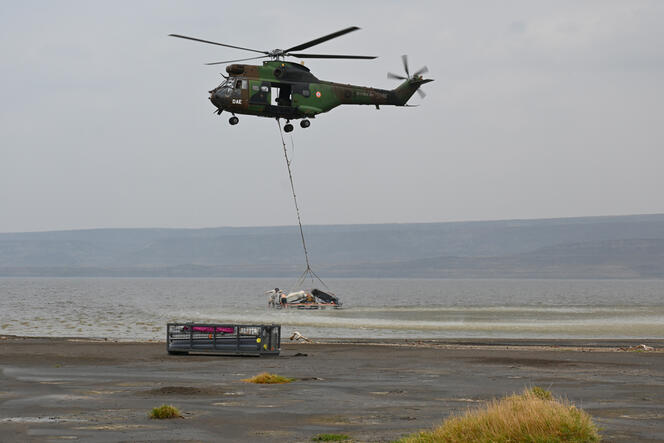 umr5608_traces's tweet image. "Mission carottage au lac Abbé" dans le dernier n° de la lettre @CNRS

Une opération menée dans le cadre du programme ANR #NilAfar (dir. M. Revel @umrGeoazur), collaboratif du programme archéo franco-djiboutien #PSPCA (dir. @CauliezJessie @CNRS_Toulouse)

lejournal.cnrs.fr/articles/missi…