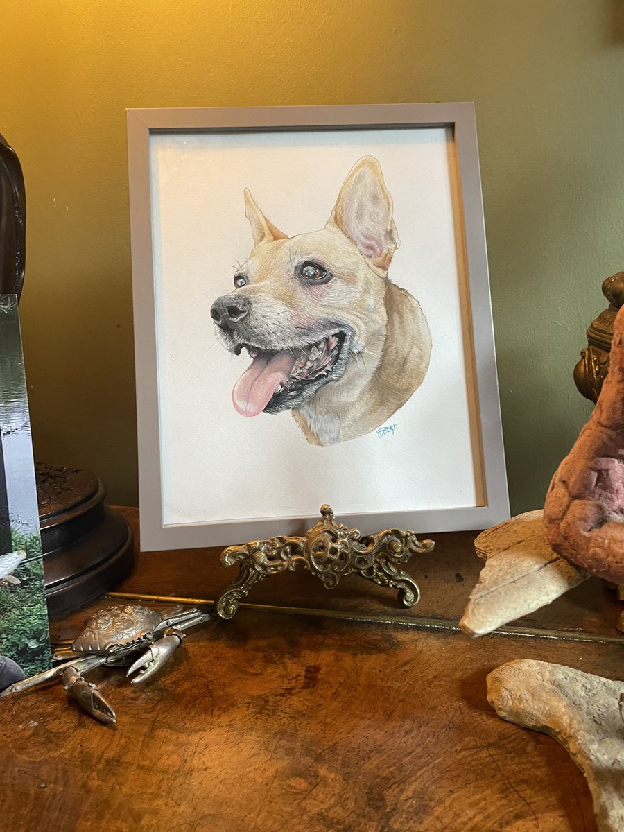 mrsjhh80's tweet photo. Can’t tell you how proud I am of my big girl. 16 years old and drawing pet portraits. She astounds me! #talentedteen #artist #soproud #artistontwittter https://t.co/DWFgA7xISC