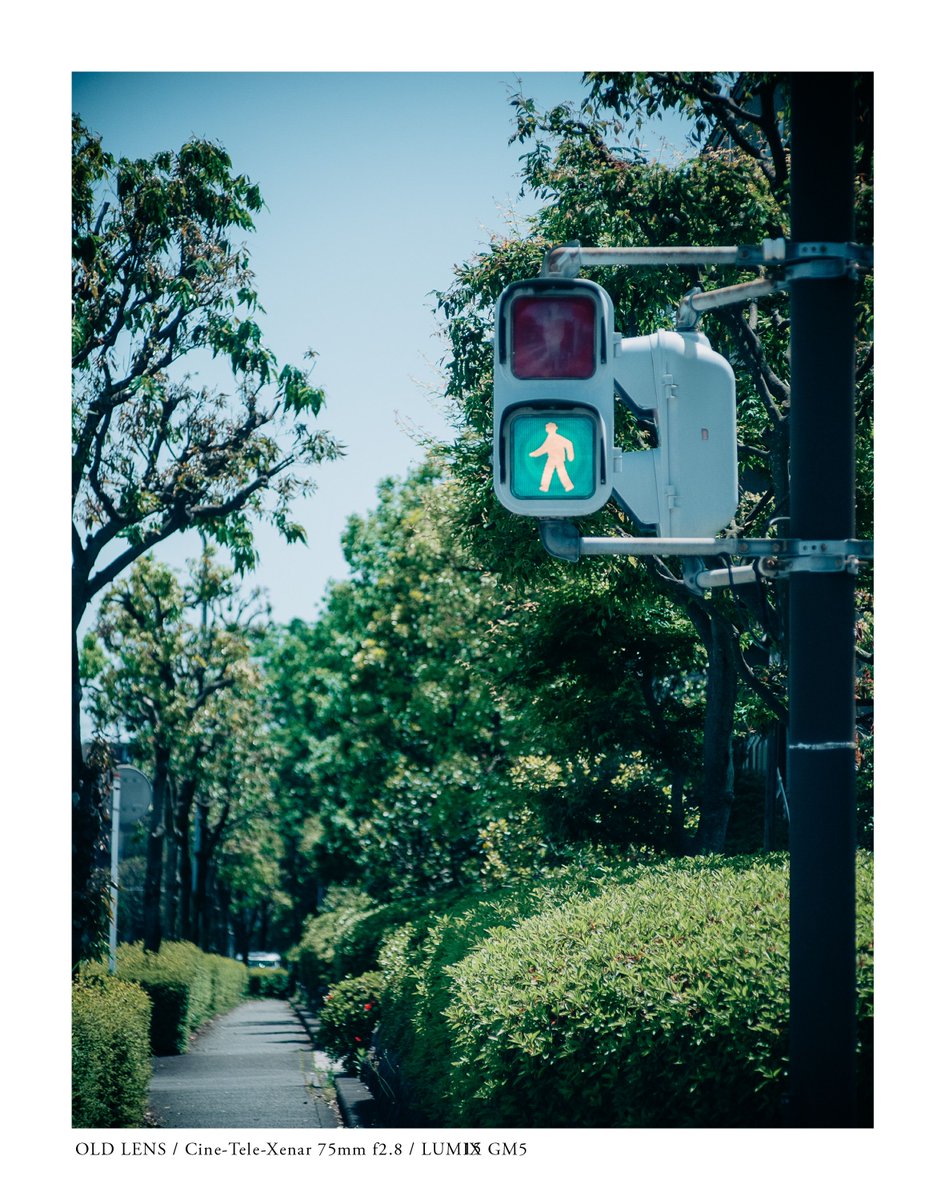 tomolens's tweet photo. Things that never stop
ๅใ็ถใใใใฎใ
.
โ lens /ย Cine-Tele-Xenar 75mm f2.8
๐ท camera / #LUMIX #GM5
๐ theme /ย #VintageTravelBooks
.
.
#vintagelens #oldlensย #filmlens #cinelens #photobook #travelbook #tsuzuki #yokohama #kanagawa #japan #unknownjapan #travel https://t.co/vk888bMtzW