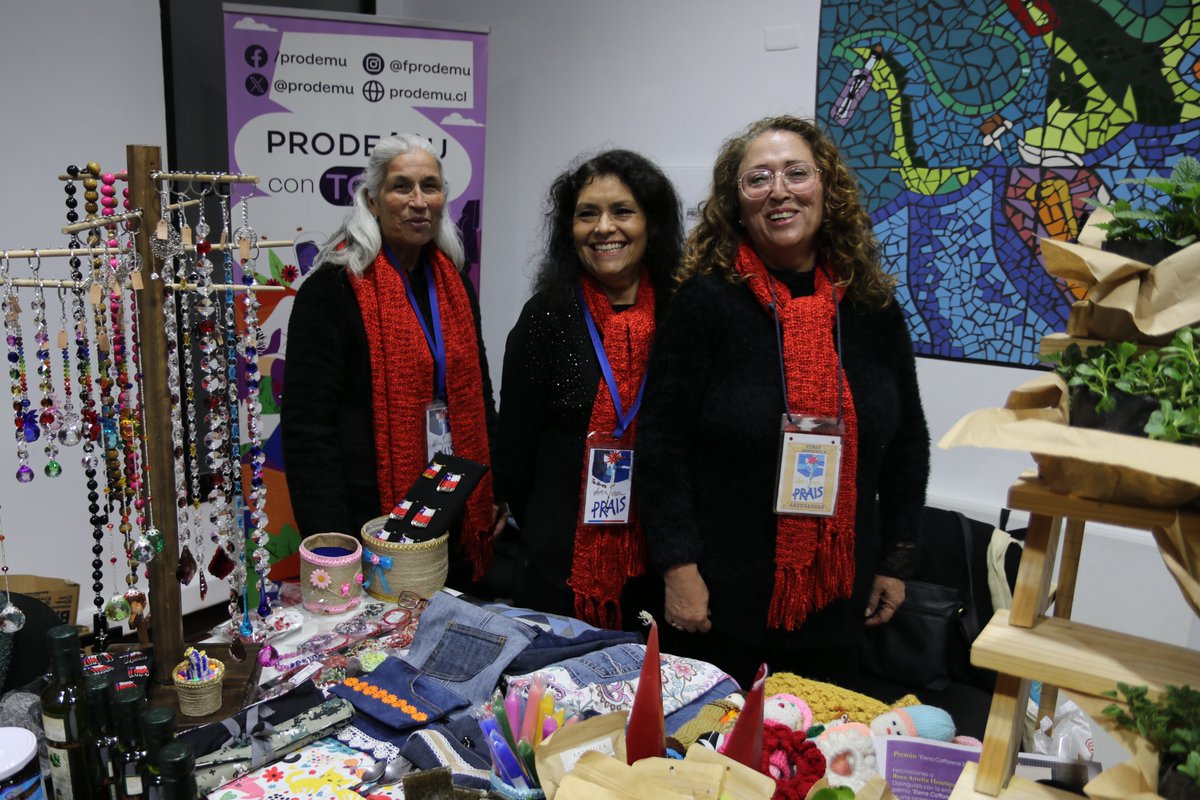 NicoNavarreteH's tweet photo. Hoy acompañamos a la directora de @PRODEMU, @cristi_martinsz, a la inauguración del primer #MercaditoProdemu, que contará con emprendedoras dedicadas a la venta de frutas, verduras, hortalizas y mucho más. https://t.co/kX6RK1faF9