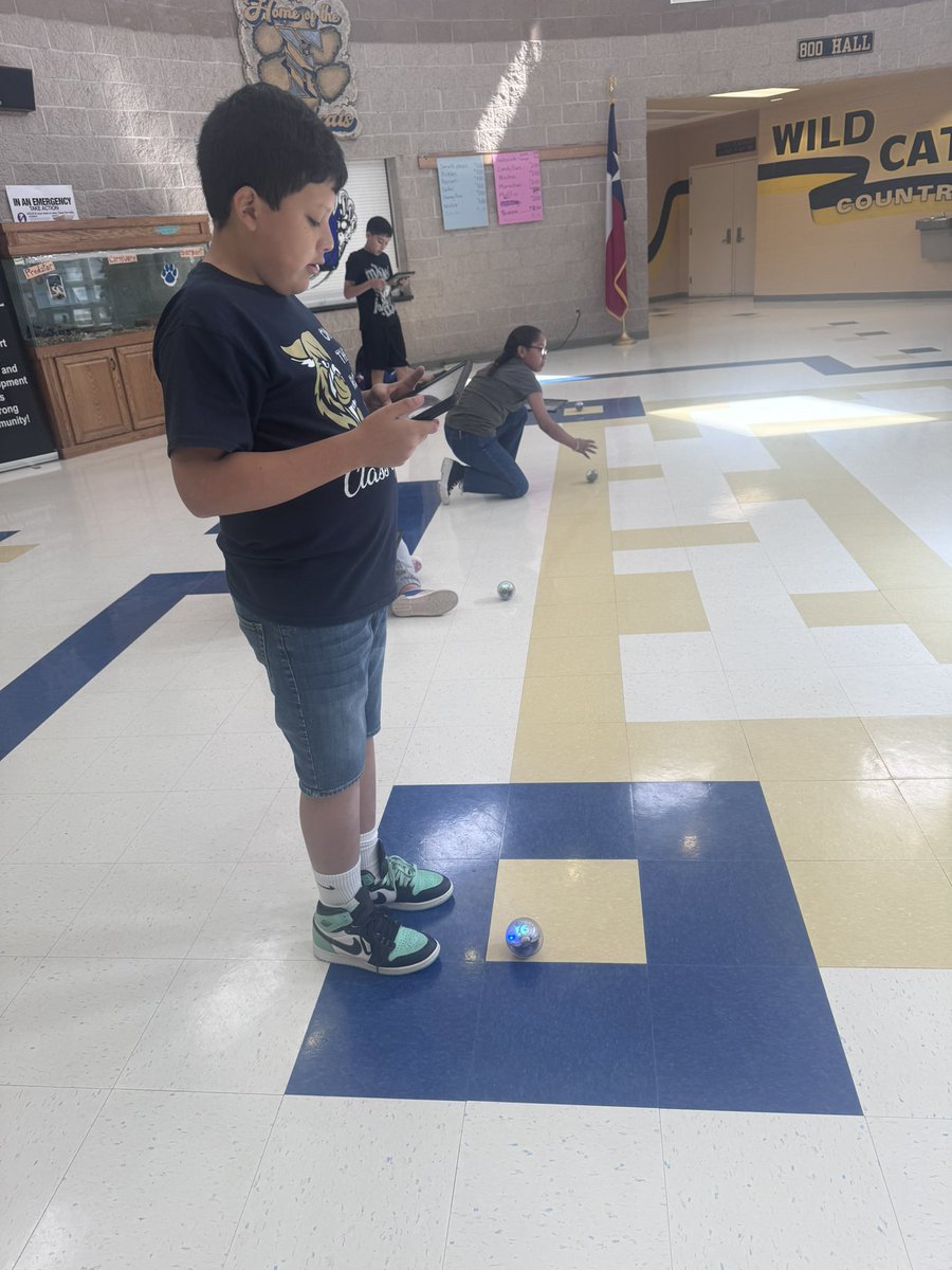 Ana Luna tweet media