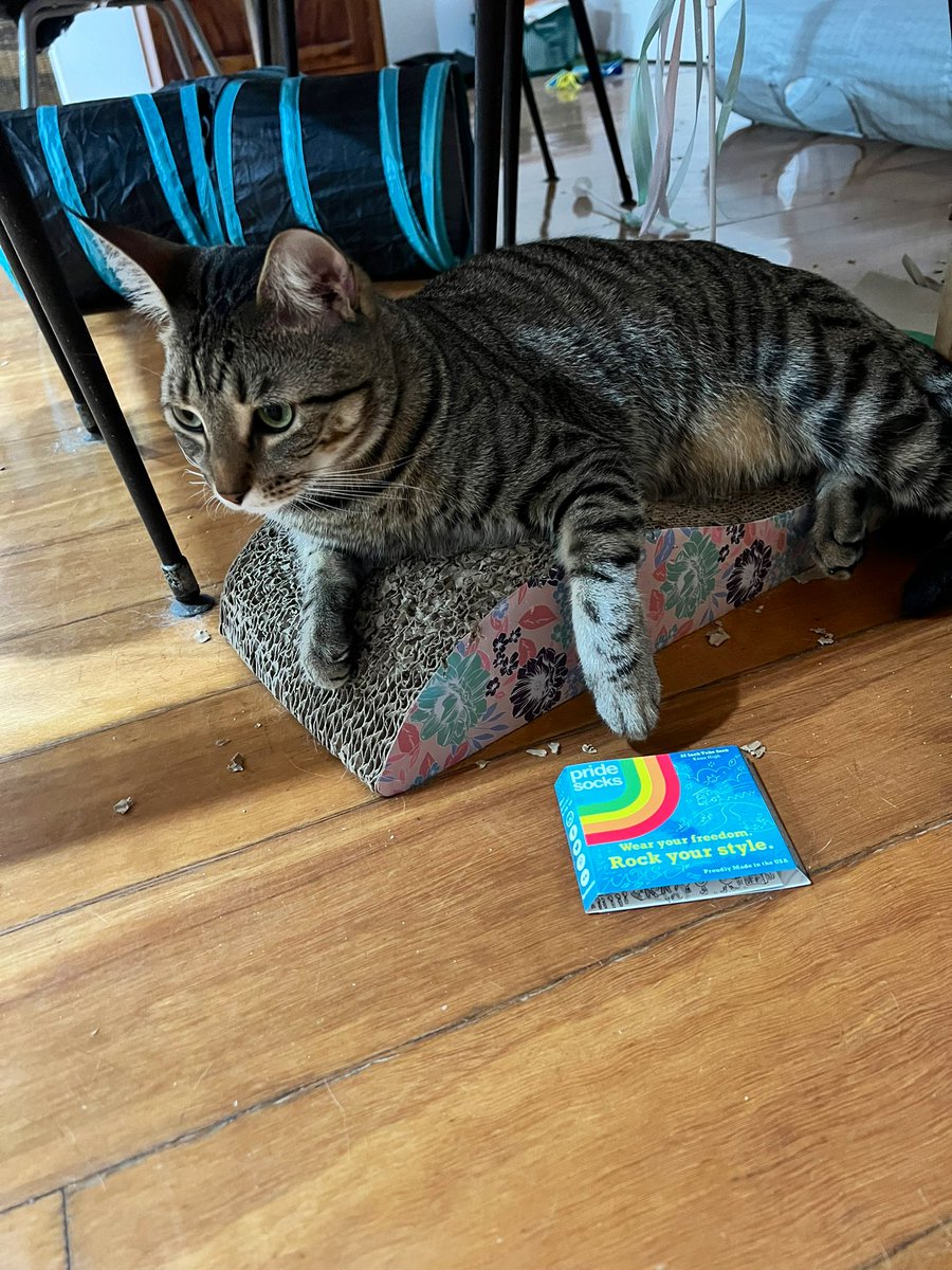 while they eat dinner we put Finn in his room so Mia can dine at her leisure without any stripy help - guess who has learned how to open the door