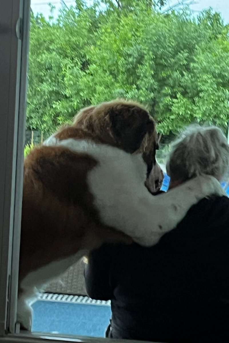 Krista Garcia (Gilliland) tweet media