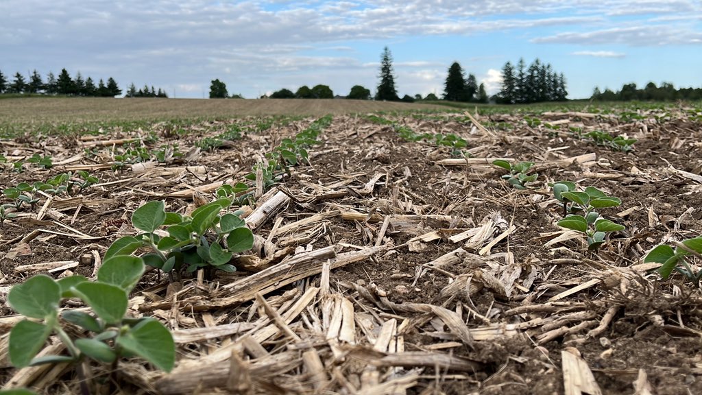 Clayton Dietz tweet media