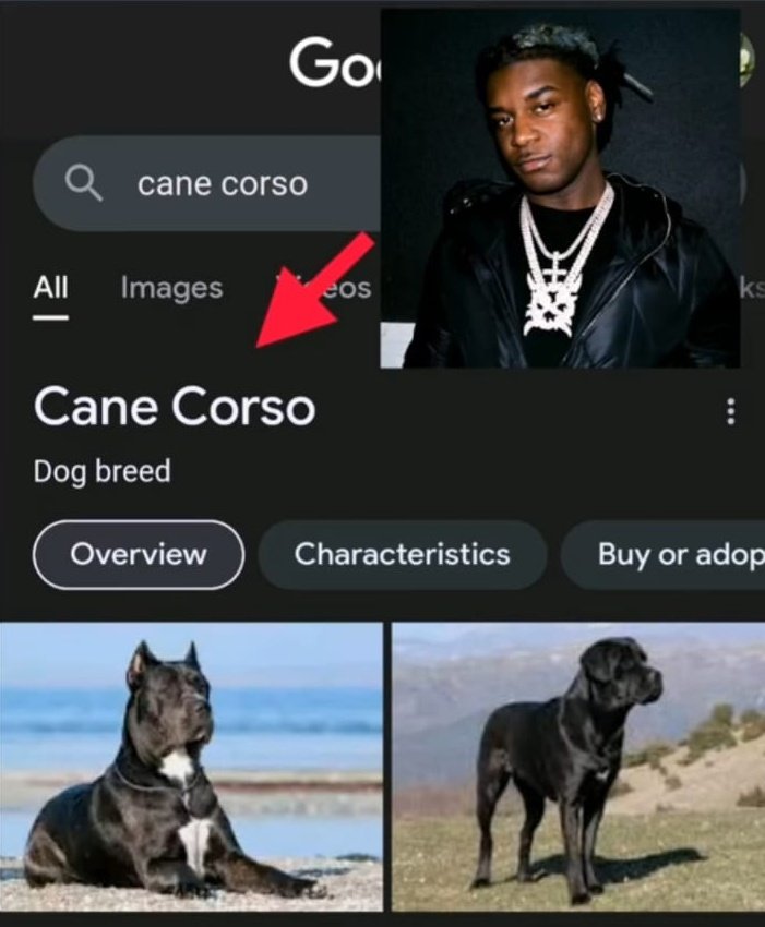 cartipresidente's tweet image. 