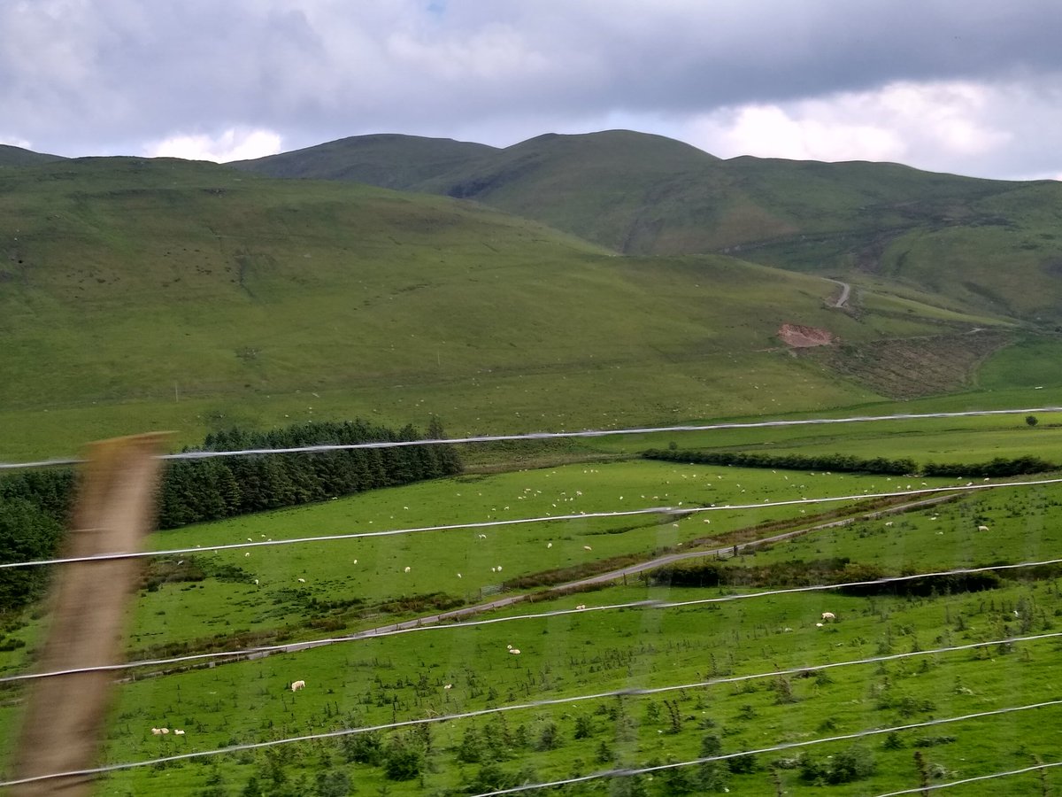 Tim Birch tweet media