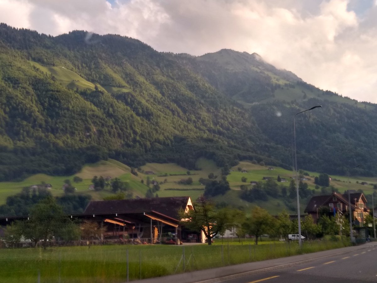 Tim Birch tweet media