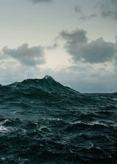 poetical photos. tweet media