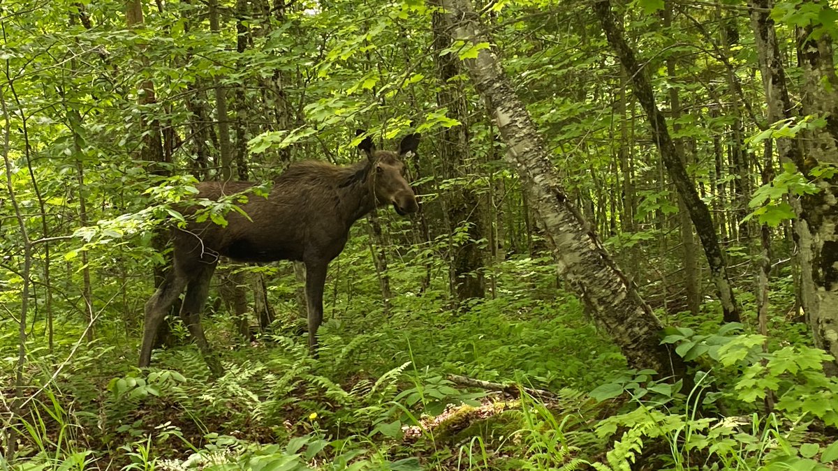 Danielle Hudson tweet media