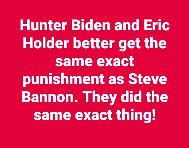 PamJamiso13's tweet photo. #ArrestHunter #ArrestEricHolder #SteveBannon https://t.co/NeVEwrXEIO