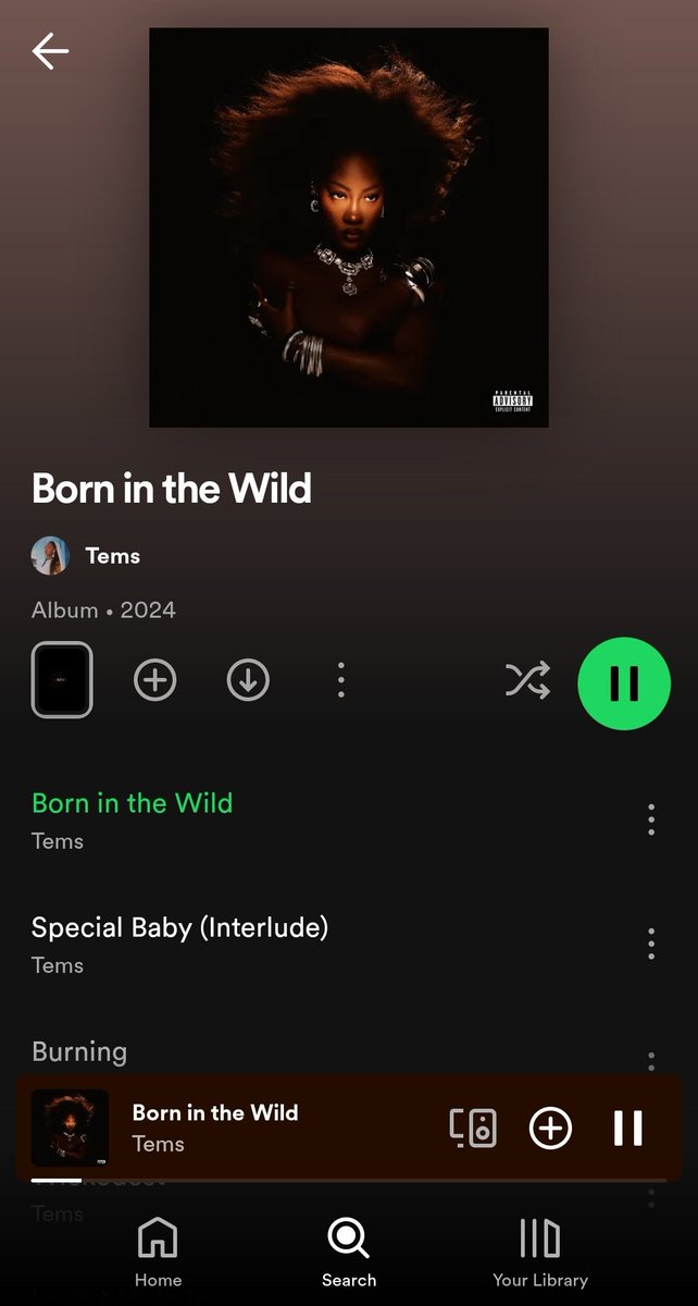 Tems Info tweet media