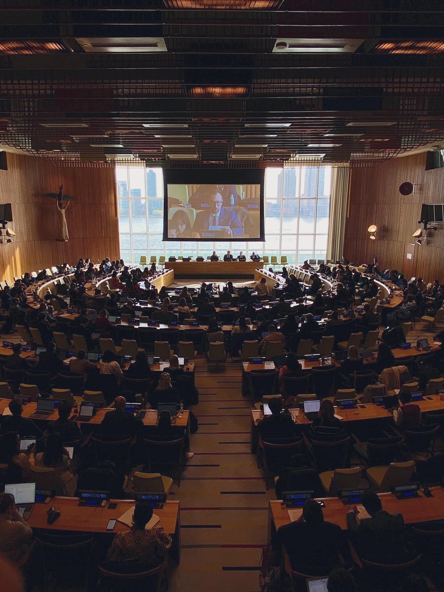 KosuthMatus's tweet photo. Honored to be elected as Vice-Chair of the Sixth Committee, entrusted with the mandate of progressive development of international law and its codification, for the upcoming 79th session of the UN General Assembly.
#Slovakia 🇸🇰 #UN 🇺🇳#InternationalLaw #Multilaterism https://t.co/wf69hiPkdD