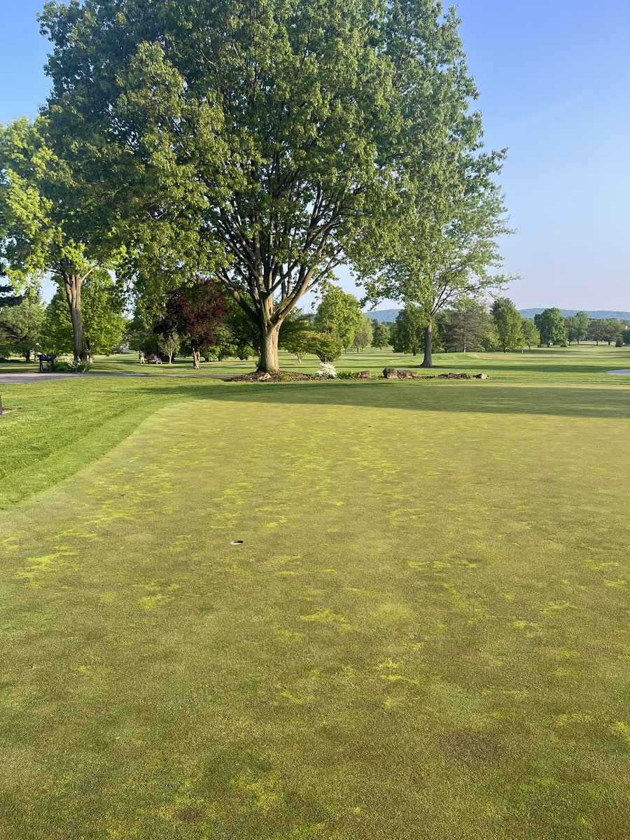 s_gingrich's tweet photo. Almost yearly photo of the poa reduction @ODCCYorkPA 21,23,24 amazing the difference in three years. https://t.co/X8Xt3yXpjw