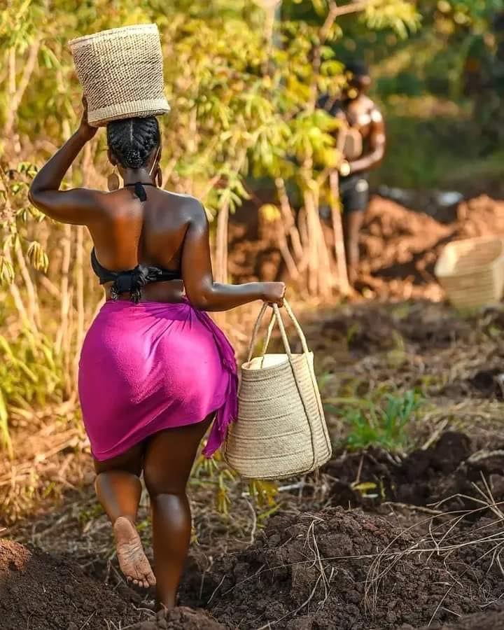 AfricanHub_'s tweet photo. Where are you reading this Post from? https://t.co/PkXhsU5A1f