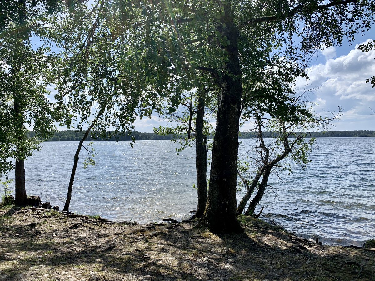 fridelina_music's tweet image. Perfect day for an excursion! The sun was shining, the breeze was cool and we had a blast exploring. ☀️🌿 #adventure #goodweather