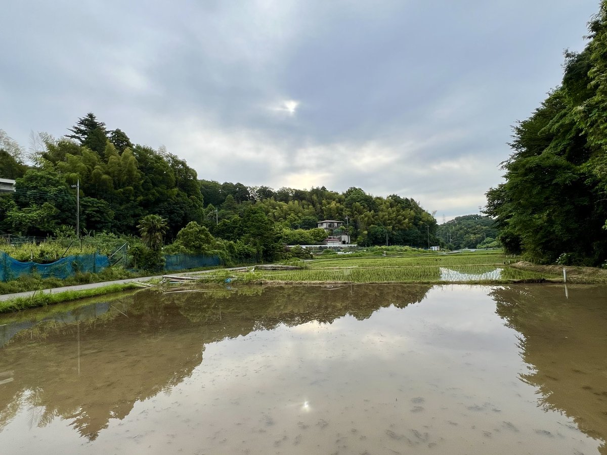 tamakoto55's tweet photo. Have a nice day☁️& nice running👟
Today’s 🏃🏼:15.1km/ Jun.Σ:91.7km
Today’s 🌸: Kawasaki Kanagawa🇯🇵
🏃♂️➡️ #NRC #TATTA #run #ランニング #朝ラン #イマソラ #黒川入り谷戸 #黒川よこみね緑地 #ヒヨドリの巣 #我家の庭木に🪺
🌼➡️ #花写真 #flower #nature #八重ドクダミ #ドクダミ #Houttuynia https://t.co/kAwrXYJE7r