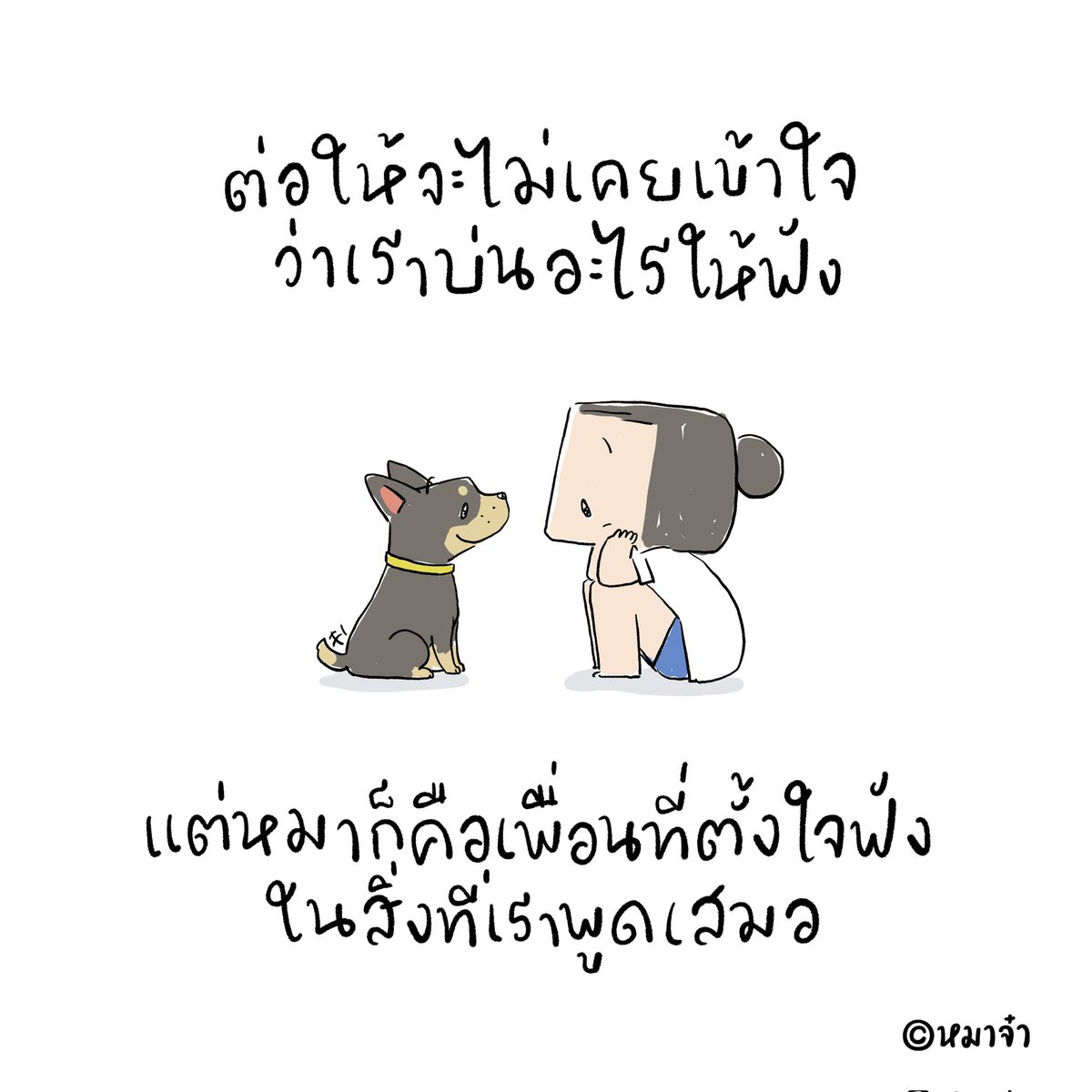dogplease2013's tweet photo. #หมาจ๋า #dogplease https://t.co/TuOQnQFj8G