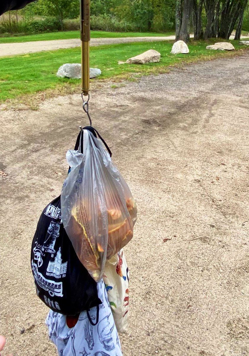 It’s hard to see here… but it was over 11 lbs!