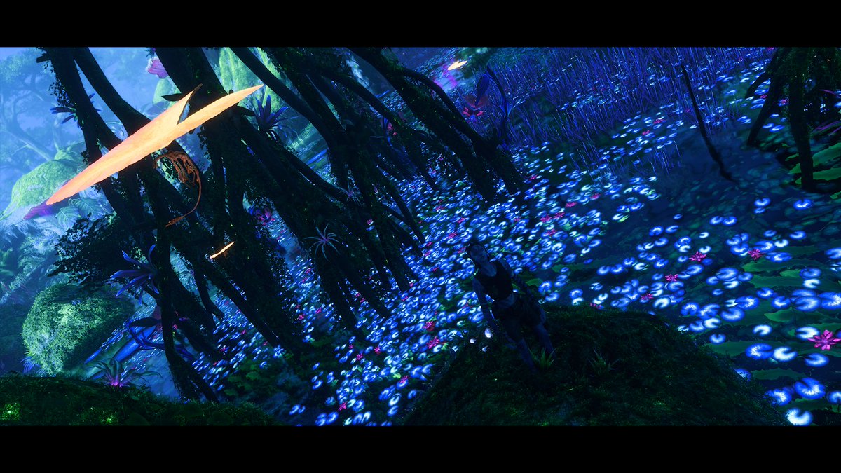 FallowTheStag's tweet photo. @AvatarFrontiers #AvatarFrontiersPhotoContest https://t.co/4g1HWNZmib