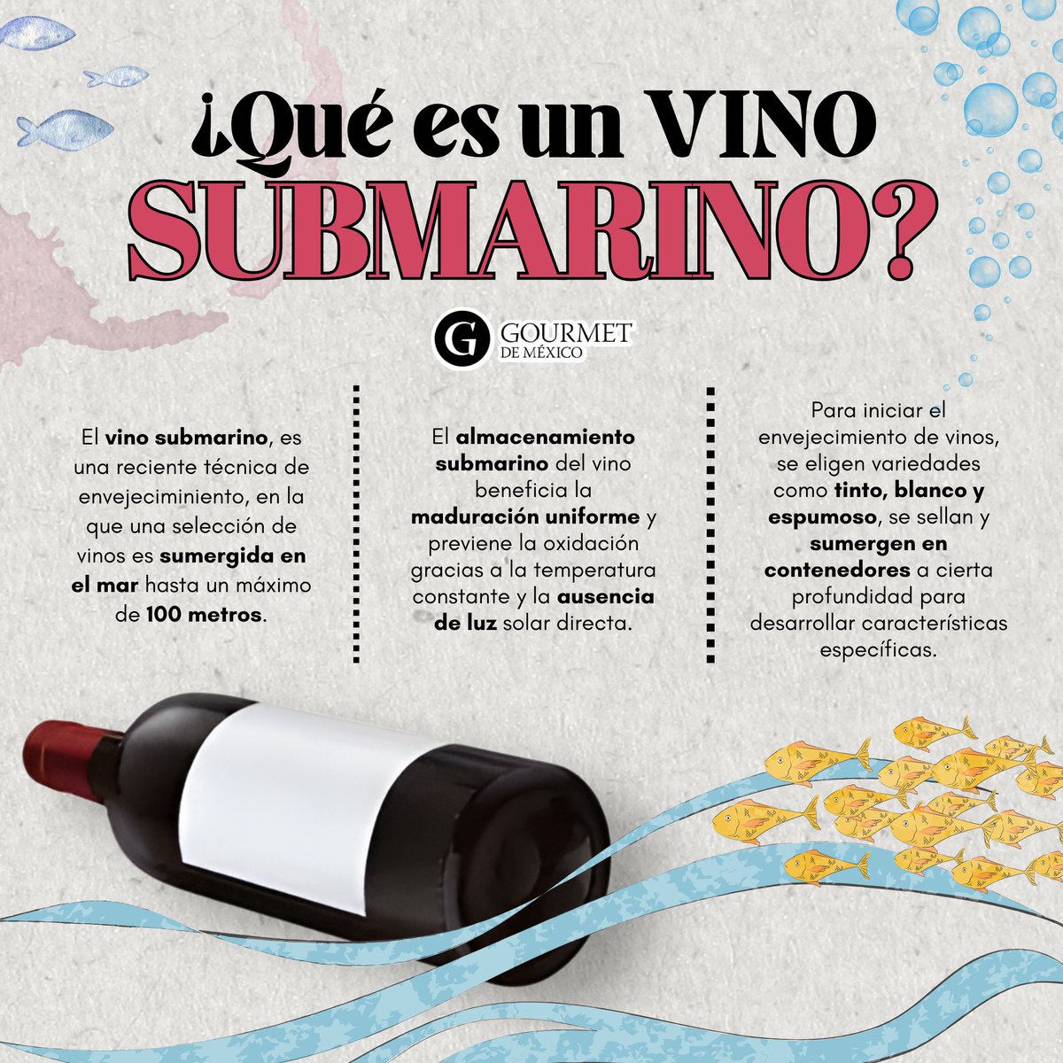 gourmetdemexico's tweet photo. El vino submarino es una técnica moderna de envejecimiento donde el vino se sumerge en el mar hasta 100 metros. ¿Sabías de su existencia? 🍷🌊🫧  #VinoSubmarino #TiposDeVino #GourmetDeMéxico https://t.co/MtaGs6wYgw