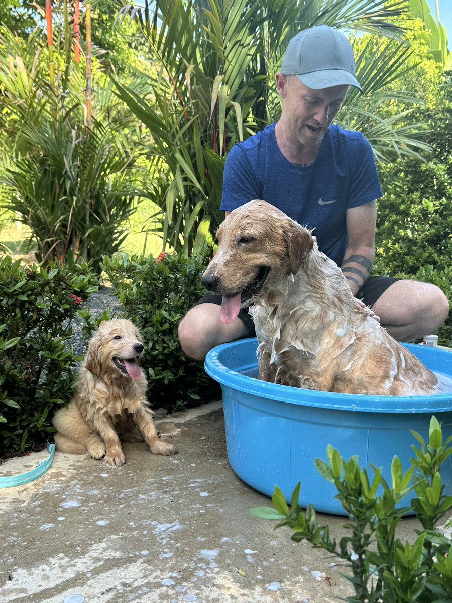 Niall Harbison tweet media