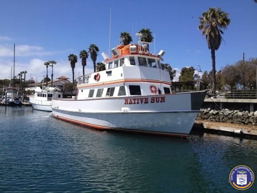 976tuna's tweet photo. Native Sun GOING FOR SURE TOMORROW! Thu Jun 6, 2024 https://t.co/JJ2BaMKbod #nativesun #sanpedro22ndstreetsportfishing #fish #fishing #fishingtrip #oceanfishing #socalfishing #fishingtrip #goodtimes #livebait #saltlife #saltwater #tasty #thetugisthedrug https://t.co/odZwxEvxOH