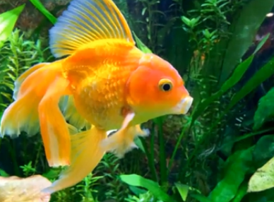 We pay attention to the 180 but never the 1 tweet media