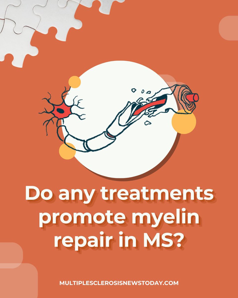 A @mssociety grant will help advance development of an experimental treatment designed to promote myelin repair. Read about it: bit.ly/4c1mrgx 

#MS #MultipleSclerosis #MSResearch #MSNews
