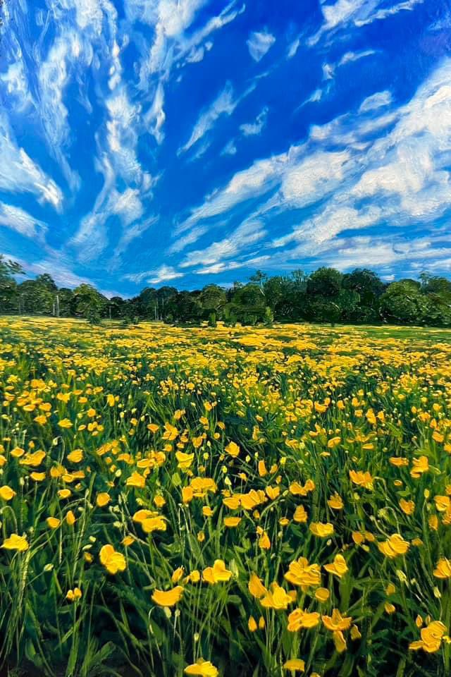 Kate Avery tweet media