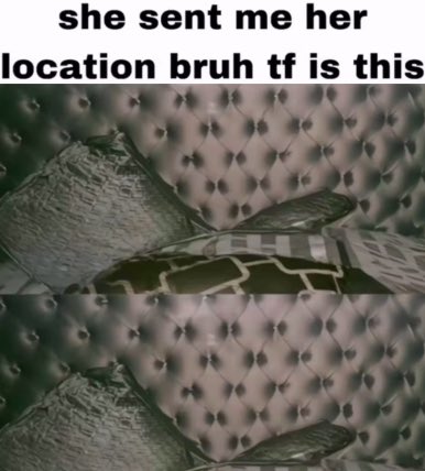 dylanarchived (@dylanarchived_) on Twitter photo 