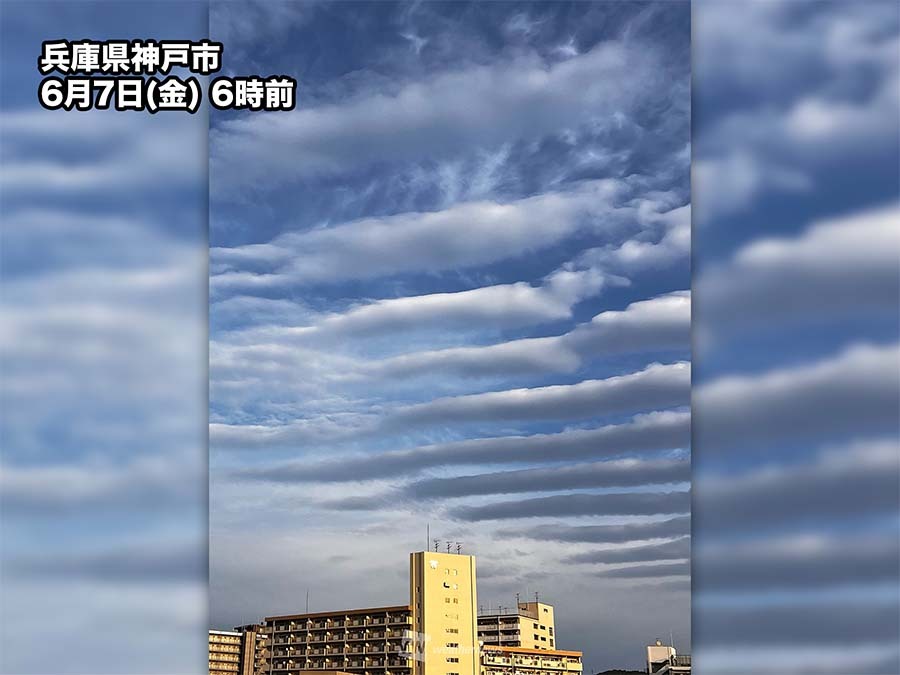wni_jp's tweet photo. ＜近畿の上空に縞模様の雲＞
今日7日(金)朝は、近畿地方の上空に縞模様の雲が見られています。これは、「波状雲」と呼ばれる雲です。性質の異なる風の境目で出現しました。

近畿以外にも東海からも報告が届いています。
https://t.co/3ojfScrgSZ https://t.co/BvoCmrF2vQ
