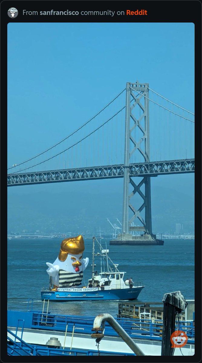 Ester Meerman tweet media