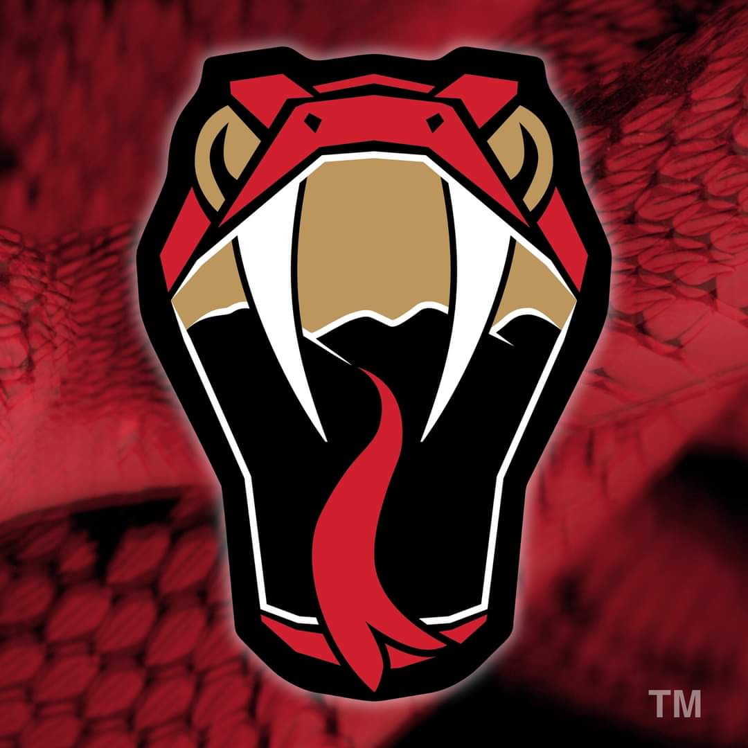 bradmargraphics's tweet photo. Logo reveal day for the Hudson Valley Venom, the newest club in @TheFPHL!

This project meant a lot to me and I'm humbled by the confidence the Vipers/Venom organization has shown in me to work on their branding #hudsonvalley #hockey https://t.co/HfziueSZSV
