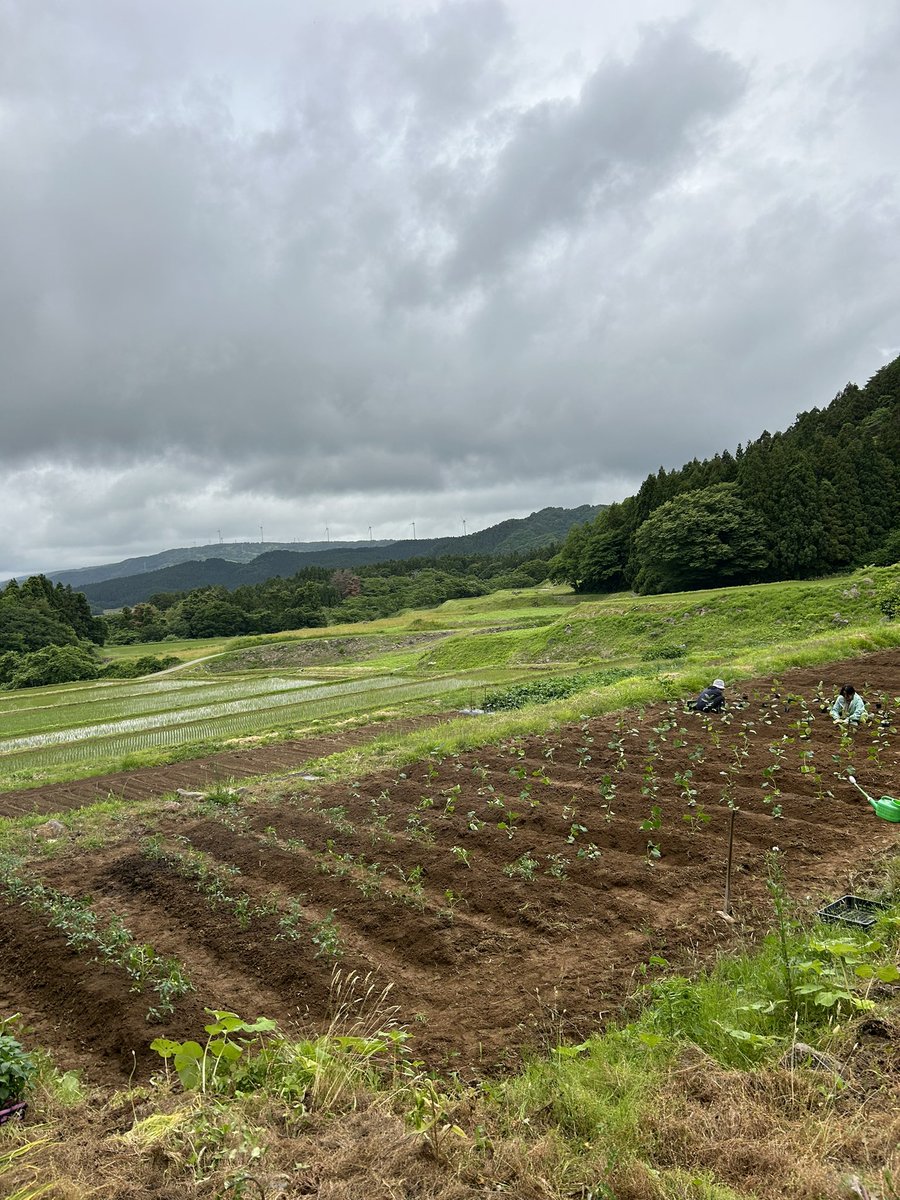 Rokumasu_'s tweet photo. 【シェア畑始動】

先日、シェア畑に畝立てをし、実際に野菜を植え始めました！

トマト
キュウリ
ピーマン
ナス
トウガラシ
等々‥

ゲストハウス麓〼の宿泊者は収穫し放題です！
ぜひお手伝いしに遊びに来てください🙌
#秋田 #にかほ市 https://t.co/Jam0xyxBRL