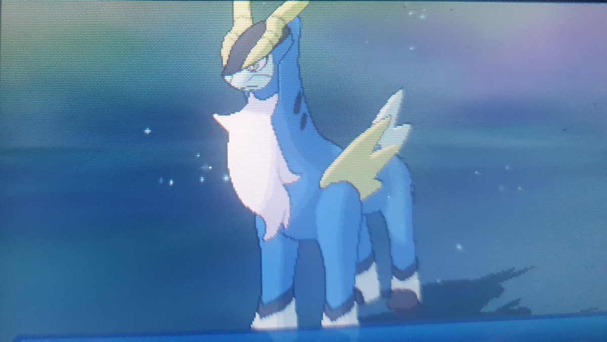 _sharkbytes's tweet photo. Insane shiny Cobalion after only 20 soft resets! #Shiny #ShinyHunting #Cobalion #Pokemon #UltraSunUltraMoon #Usum https://t.co/AIX9wcx1Fr
