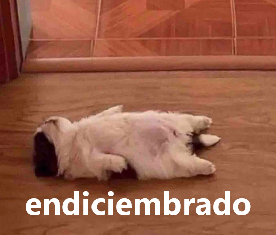 ManusPeruNus's tweet photo. @cuyba95 Ya casi diciembre https://t.co/76pufr4cVO