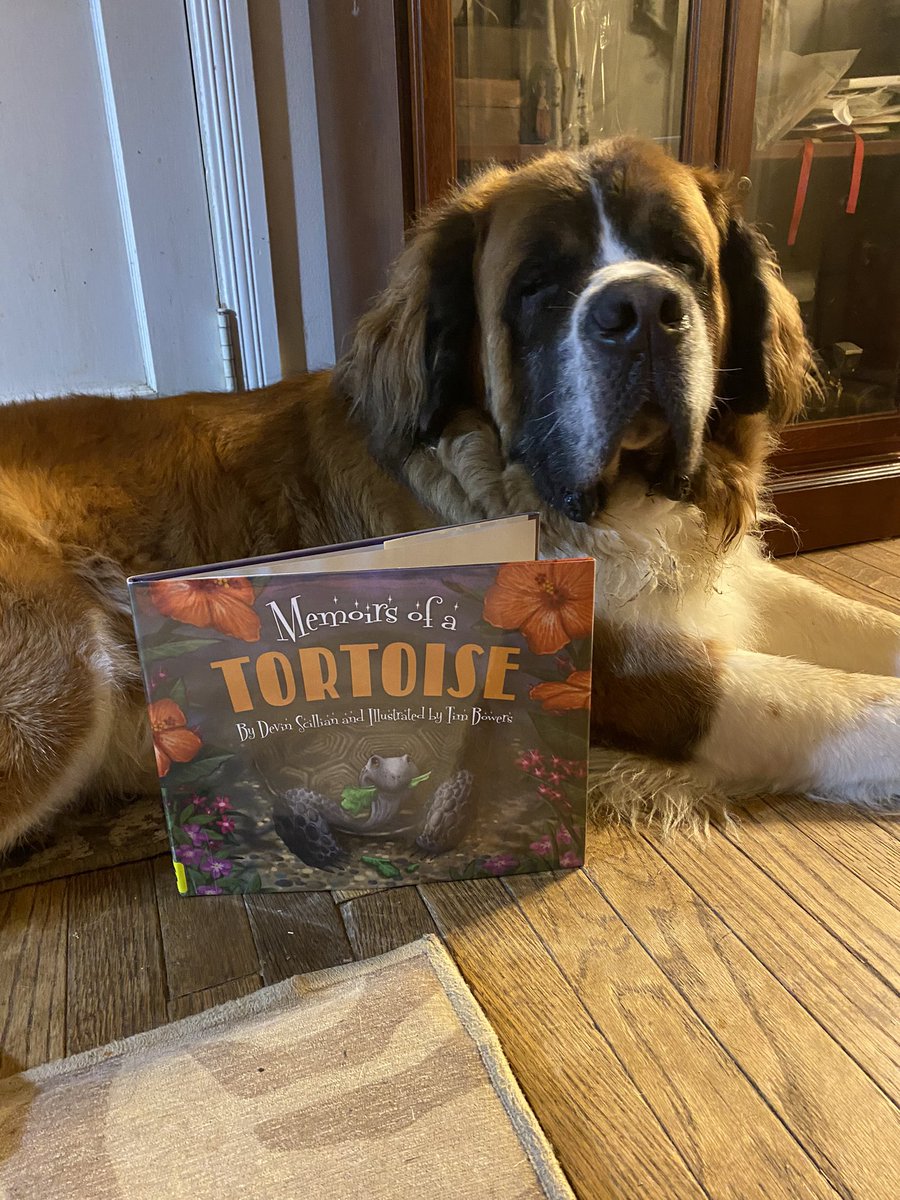 KristenFrame1's tweet photo. Devin Scillian’s Memoirs of a Tortoise is #Dudley’s 📚to #readtoyourdog! In this #FurryTale, Oliver the #tortoise looks back on his happy life as he wonders why his pet human, Ike, who he has had for eighty years, has stopped visiting the garden.A beautiful story teaches pups🧵 https://t.co/KumPZo8FYu