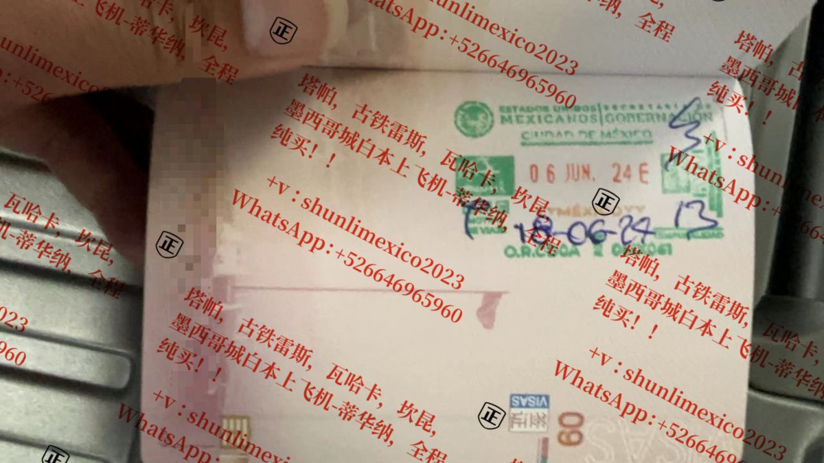 100cankunT4's tweet photo. 新鲜热辣！ 欢迎同胞来墨西哥旅游！🤩需要的老板加微信详聊：shunlimexico2023   或 WhatsAPP: +526646965960 https://t.co/jUBUGb1TaK