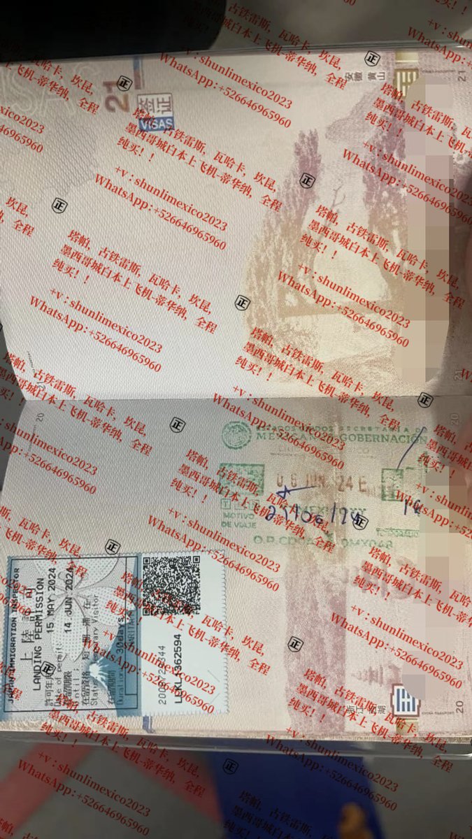 100cankunT4's tweet photo. 新鲜热辣！ 欢迎同胞来墨西哥旅游！🤩需要的老板加微信详聊：shunlimexico2023   或 WhatsAPP: +526646965960 https://t.co/jUBUGb1TaK